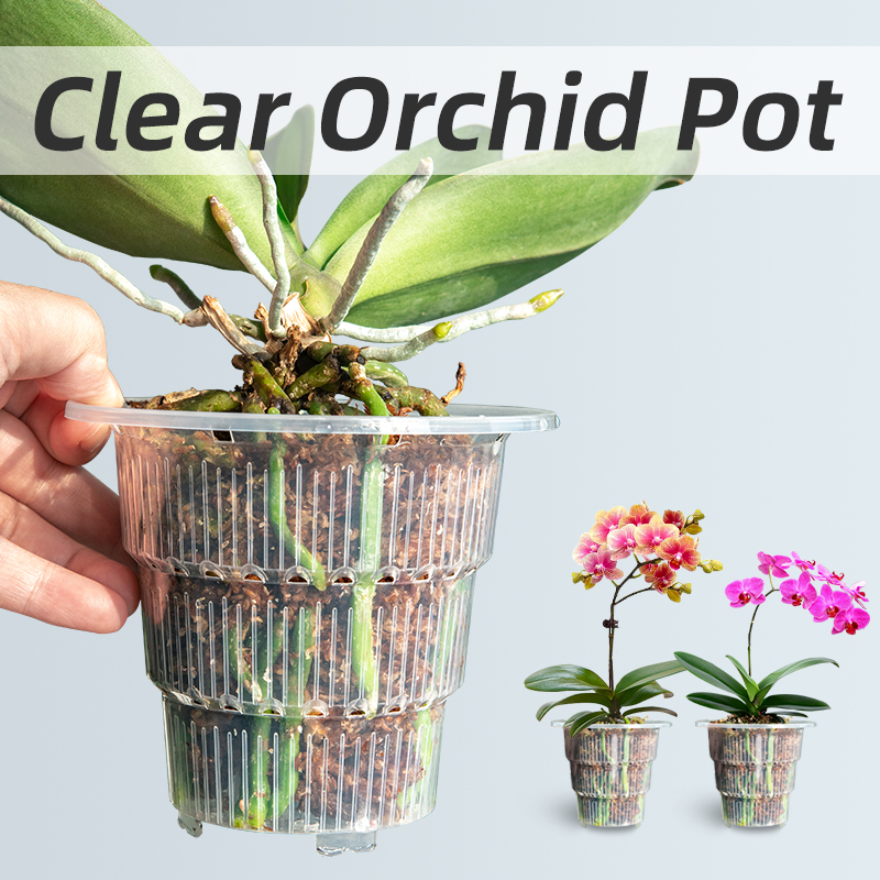 Meshpot Clear Plastic Orchid P - Aloe Vera Pot recension och pris