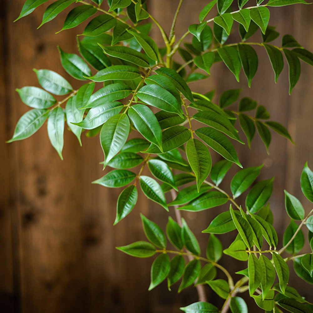 76-140cm Large Artificial Ficu - Ficus Lyrata Tree recension och pris
