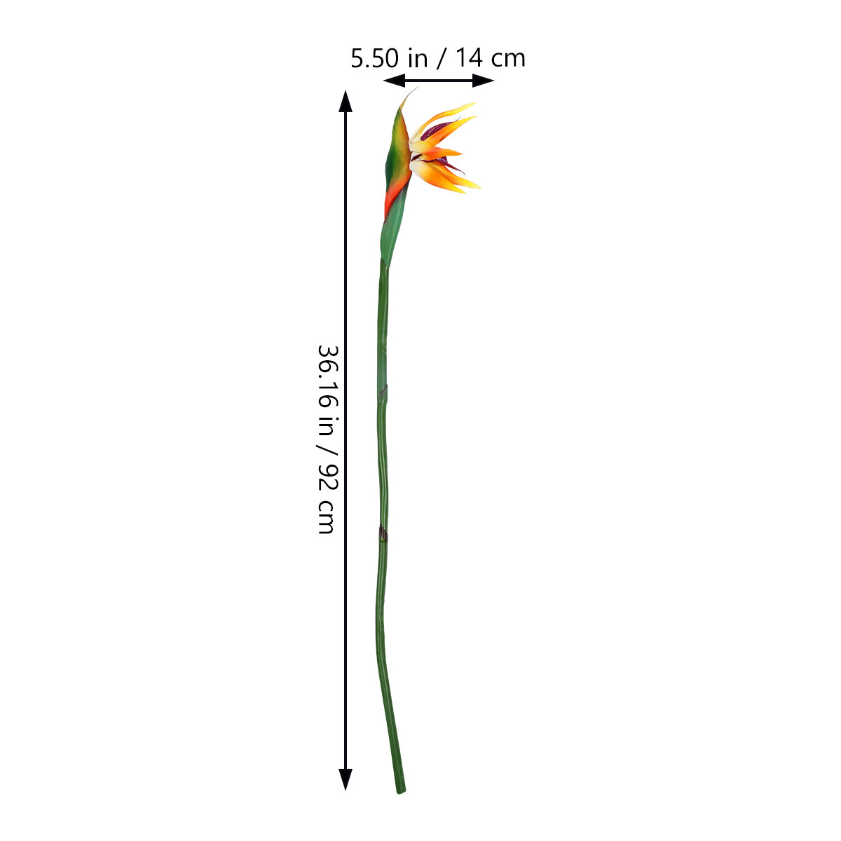Faux Bird of Paradise Artifici - Bird Paradise Strelitzia recension och pris