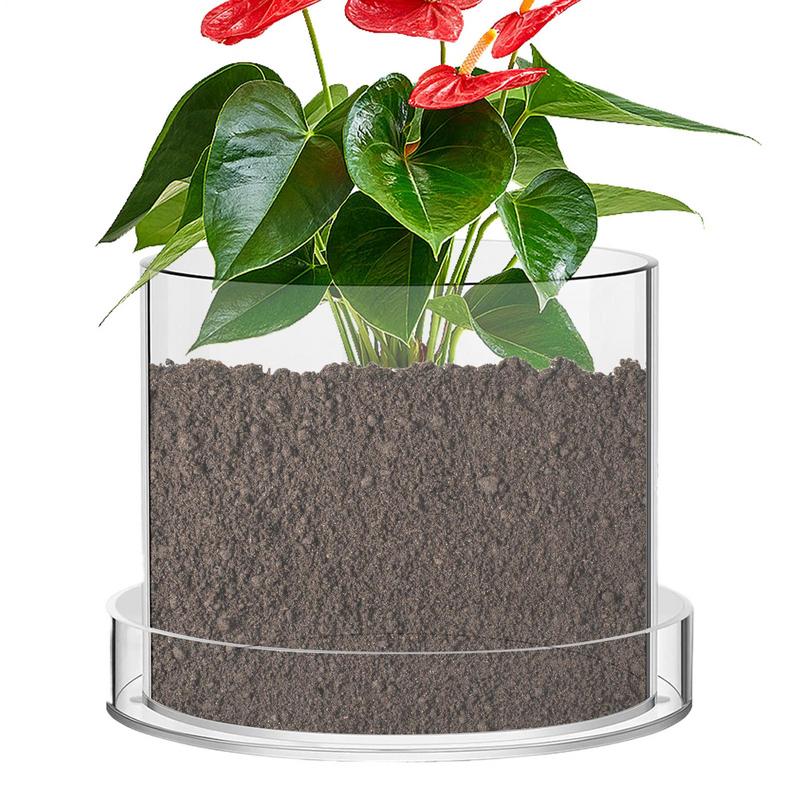 Clear Plant Pots With Drainage - Aloe Vera Pot recension och pris