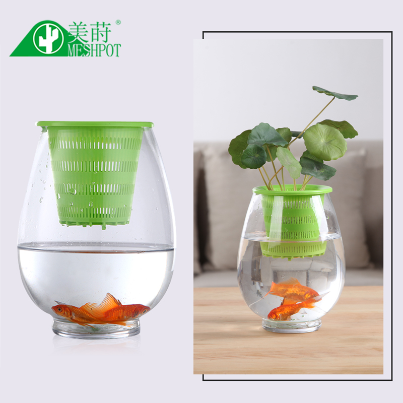 Meshpot 3PCS Colorful Plastic  - Aloe Vera Pot recension och pris