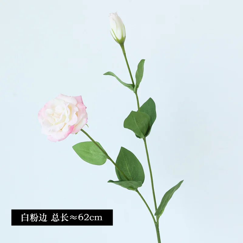 10Pcs/lot Moisturizing 2Head E - Ficus Lyrata Tree recension och pris